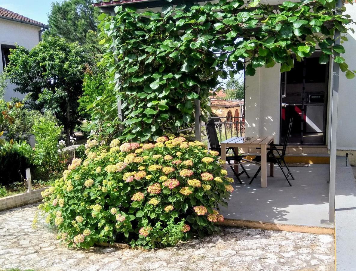 Apartments And Room Markovic Rovinjsko Selo Exterior foto